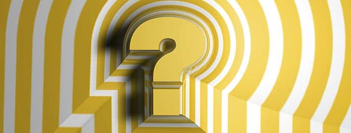 animation quiz