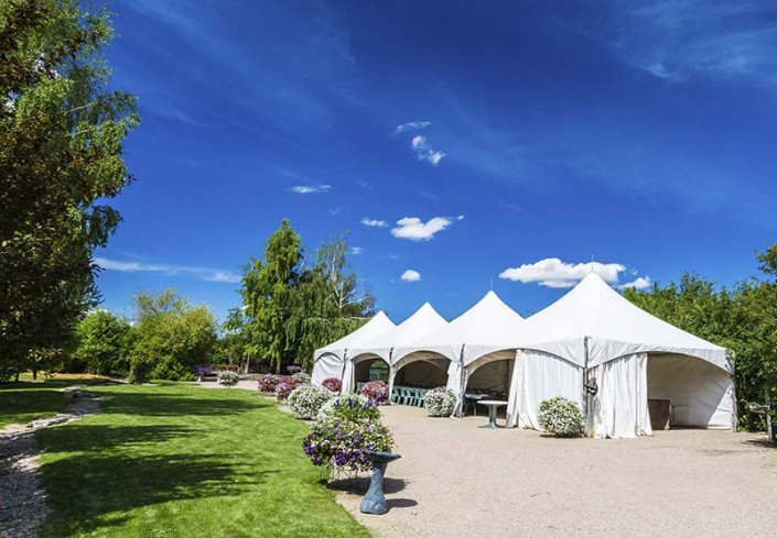 garden party reception