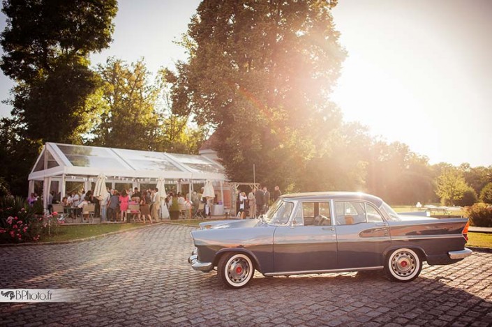 garden party