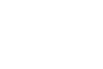 Apilog_blanc