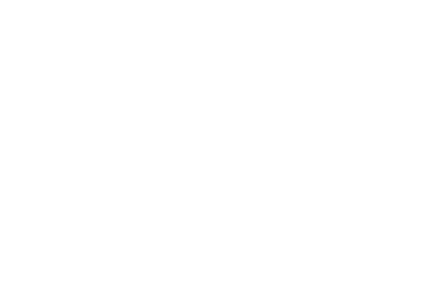 Geodis_blanc