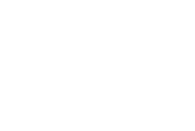 Ritz_blanc