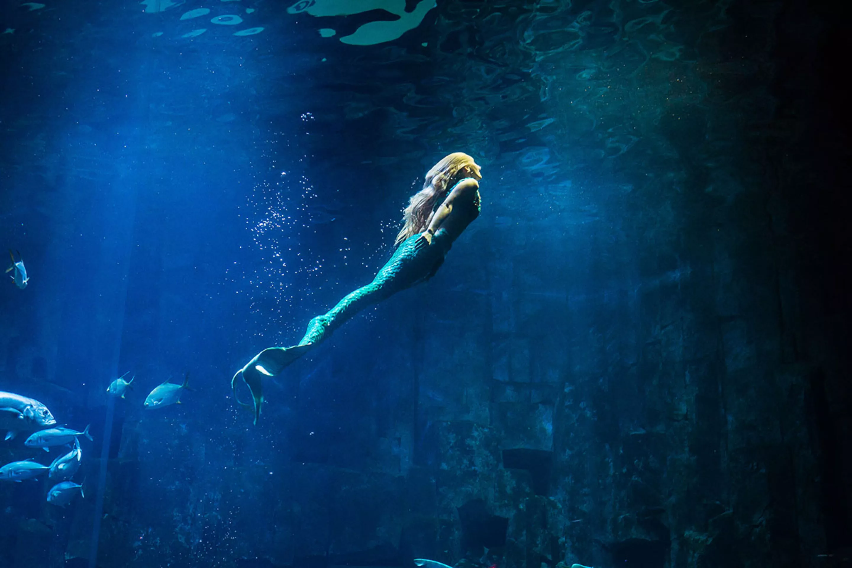 animation-spectacle-sirene