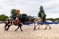 duel-chevaliers-spectacle-garden-party-entreprise