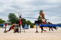 joutes-equestres-garden-party