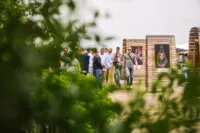 rally-team-building