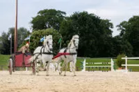 show-equestre-cascades-garden-party