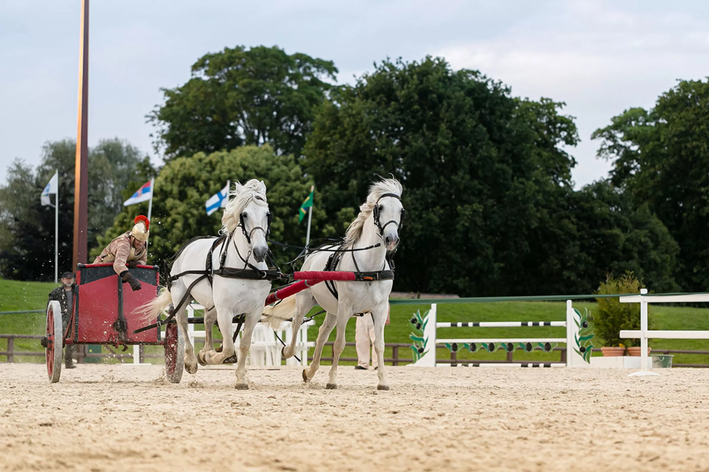 show-equestre-cascades-garden-party