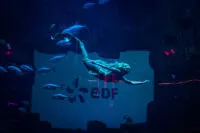 show-happening-sirene-soiree