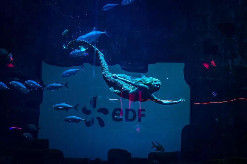 show-happening-sirene-soiree