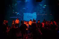 soiree-fin-d-annee-edf-aquarium-de-paris