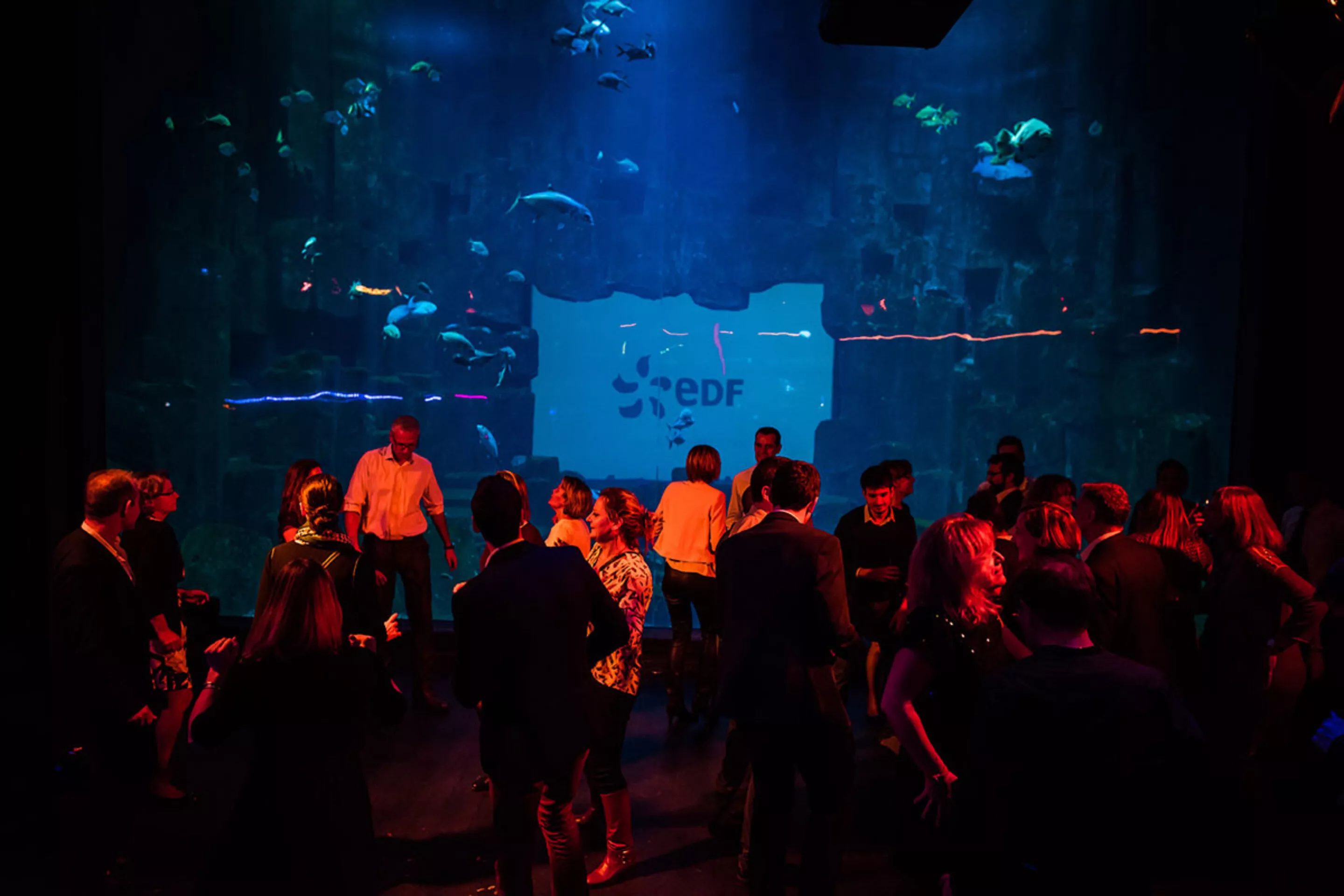 soiree-fin-d-annee-edf-aquarium-de-paris
