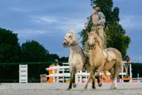 spectacle-equestre-acrobaties
