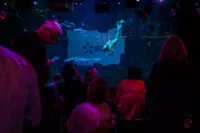 spectacle-sirene-soiree-entreprise
