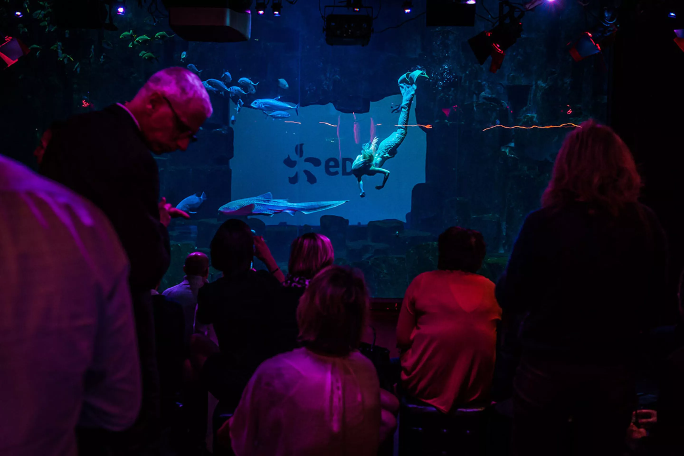 spectacle-sirene-soiree-entreprise