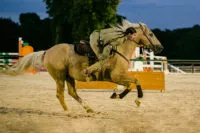 voltige-equestre