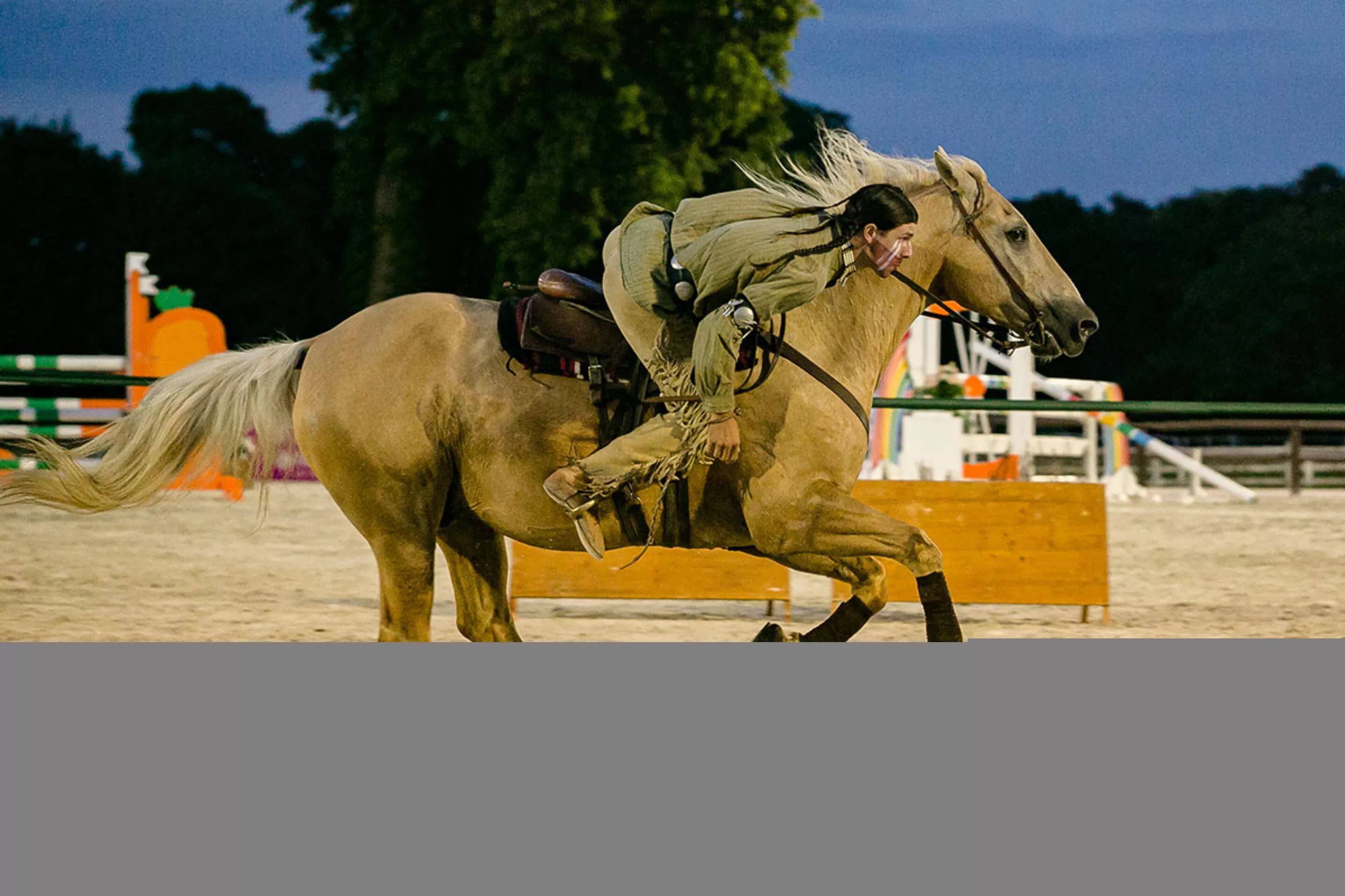 voltige-equestre