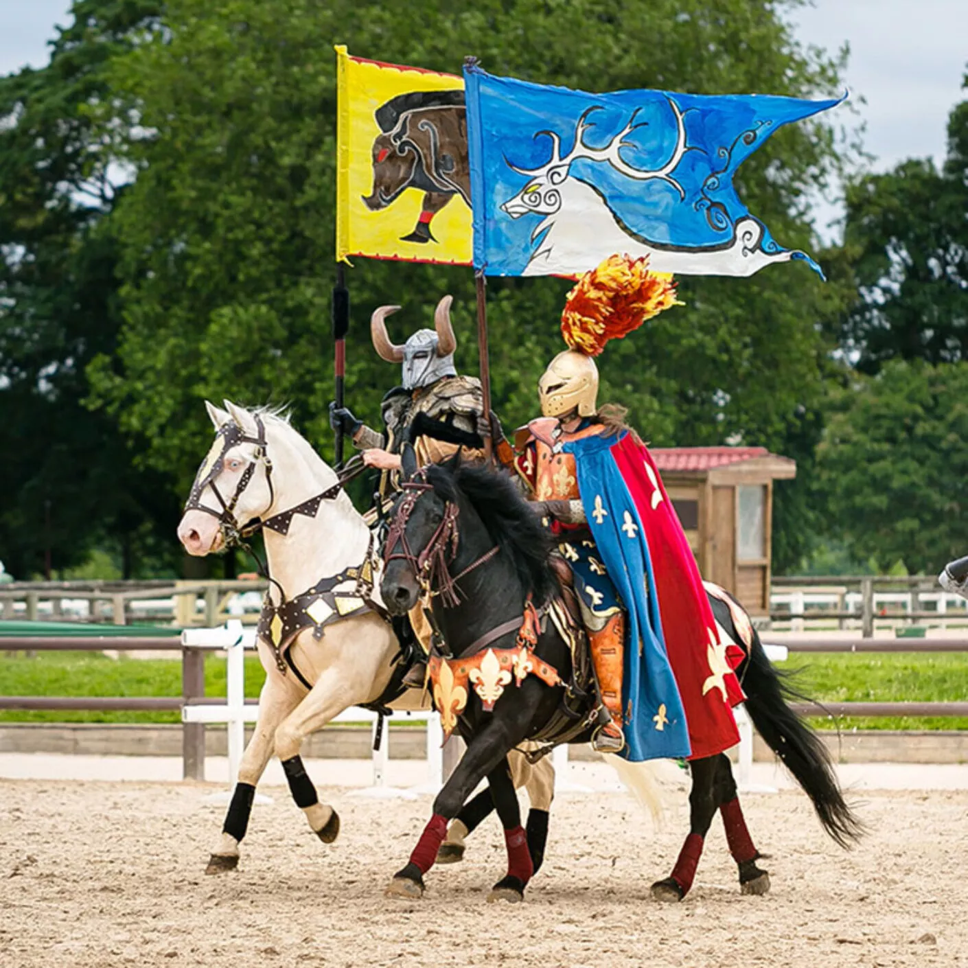 thematique-chevalier-spectacle