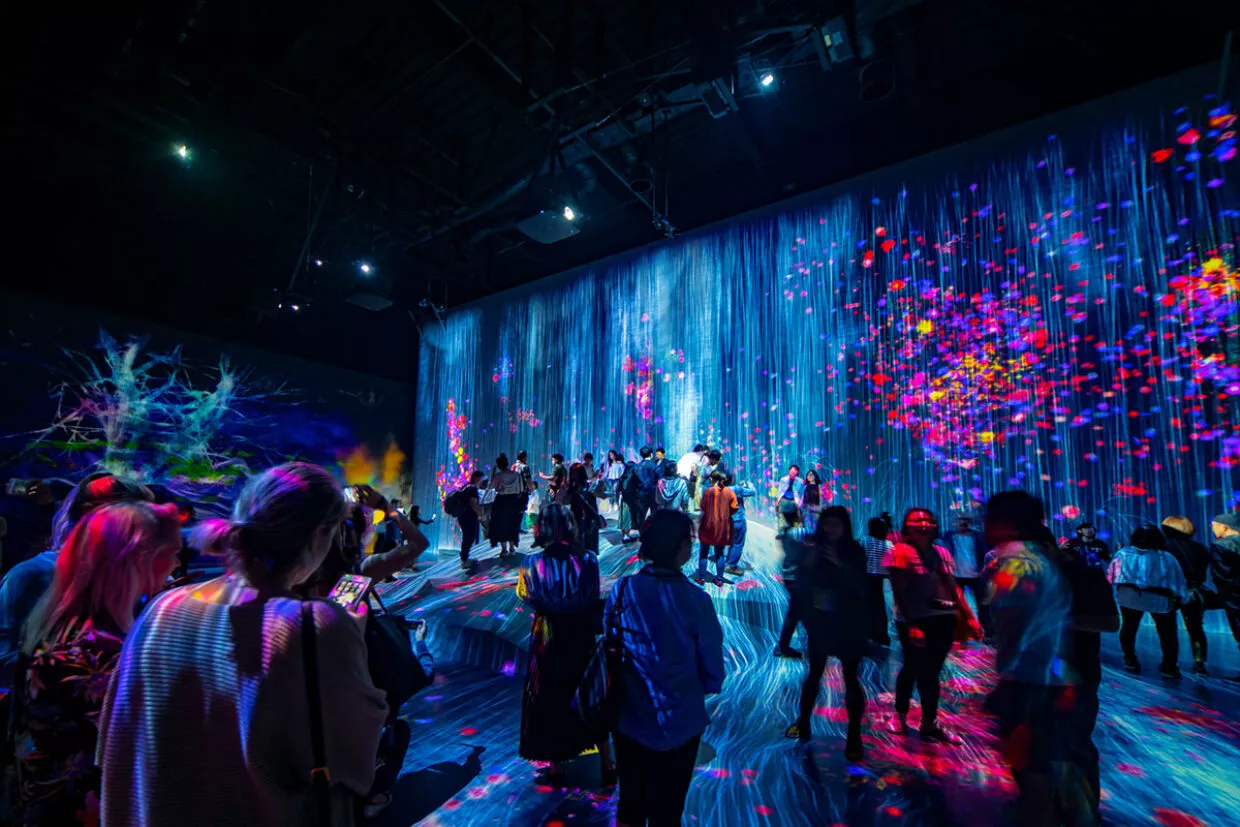 experience-de-marque