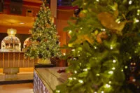 sapin-noel-soiree-fin-annee