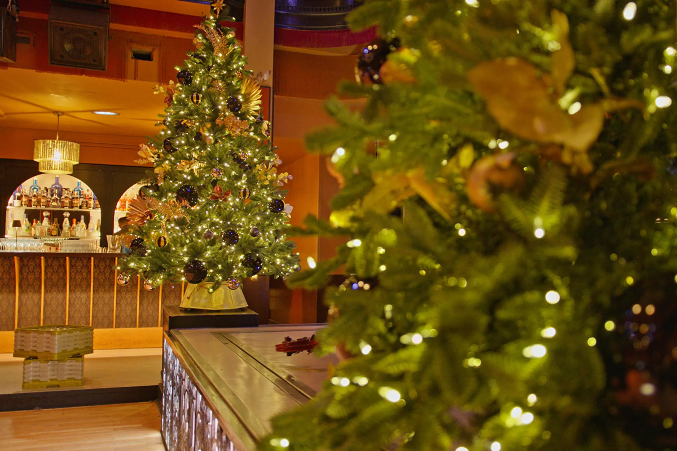 sapin-noel-soiree-fin-annee