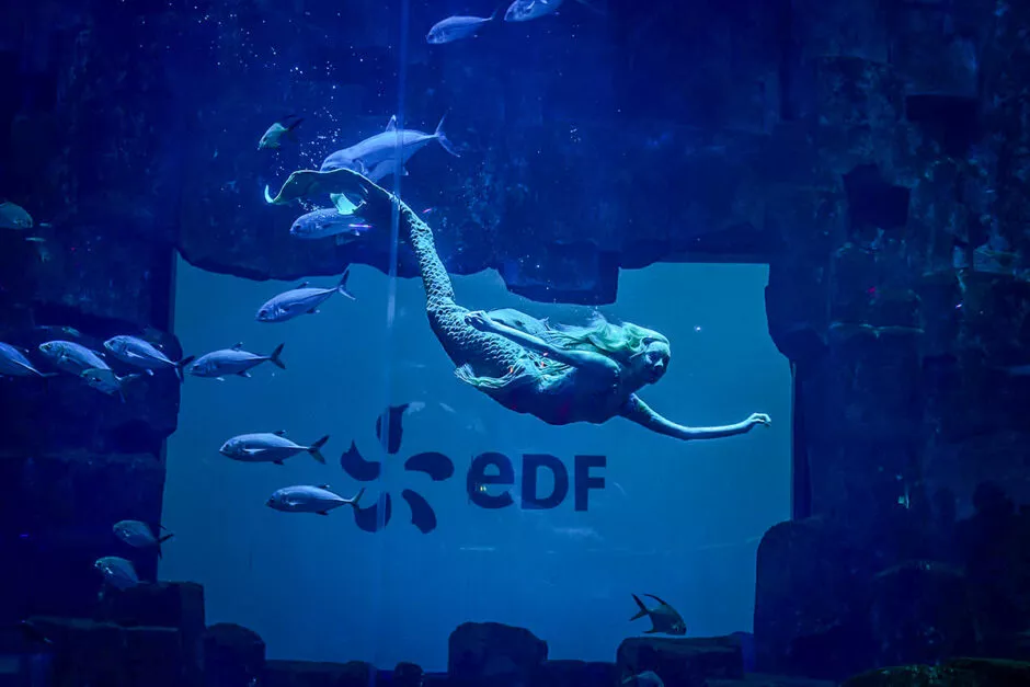 agence evenementielle objectifs externes