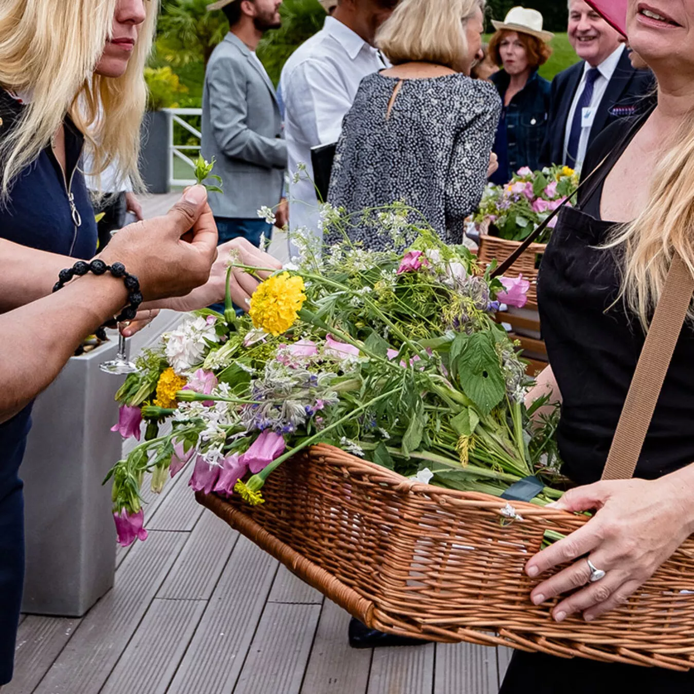 Image - Animations & interactions