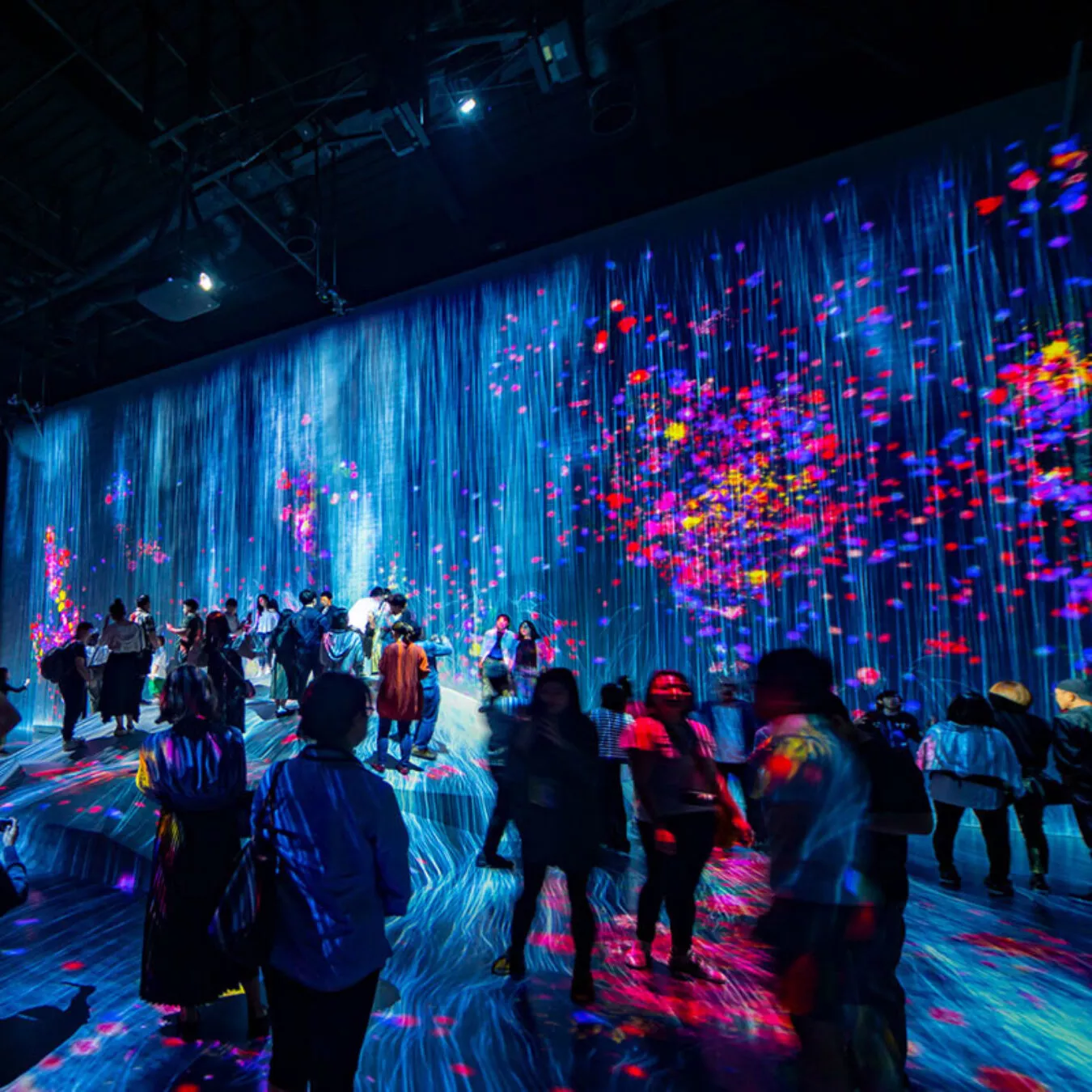 expérience immersive